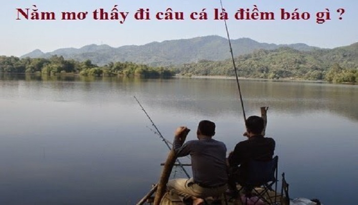 Giấc mơ câu được cá